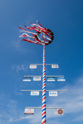 Aufgestellter Maibaum