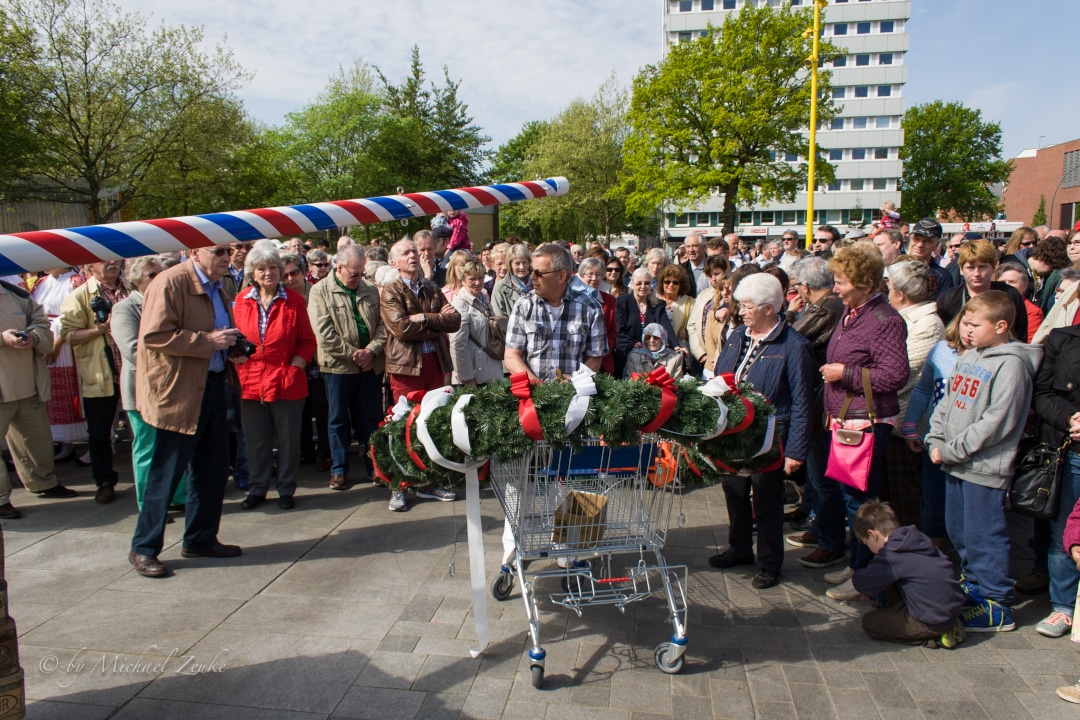 Der Kranz für den Maibaum wird in einem Einkaufswagen gebracht. Links unter dem Maibaum in einer braunen Jacke ist der Fotograf Gerd Hardenberg zu sehen.